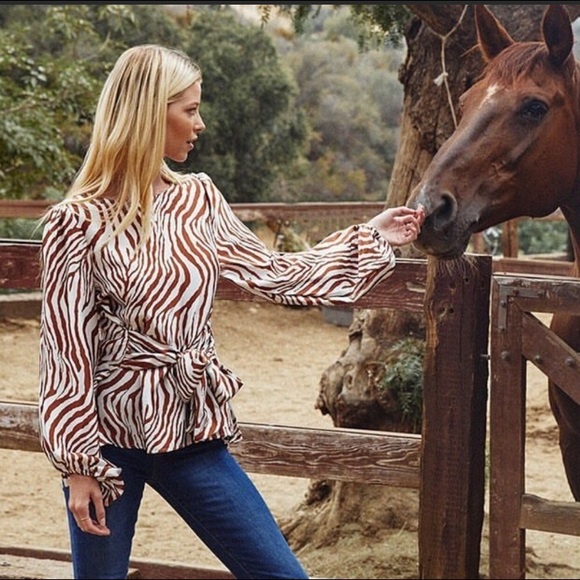 ♥️1 left ♥️Silky zebra blouse - Picture 2 of 5